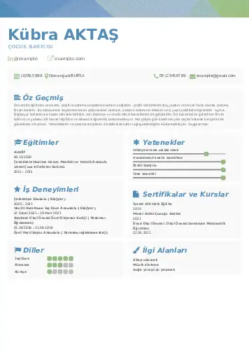 Çocuk Bakıcısı CV Örnekleri cv indir